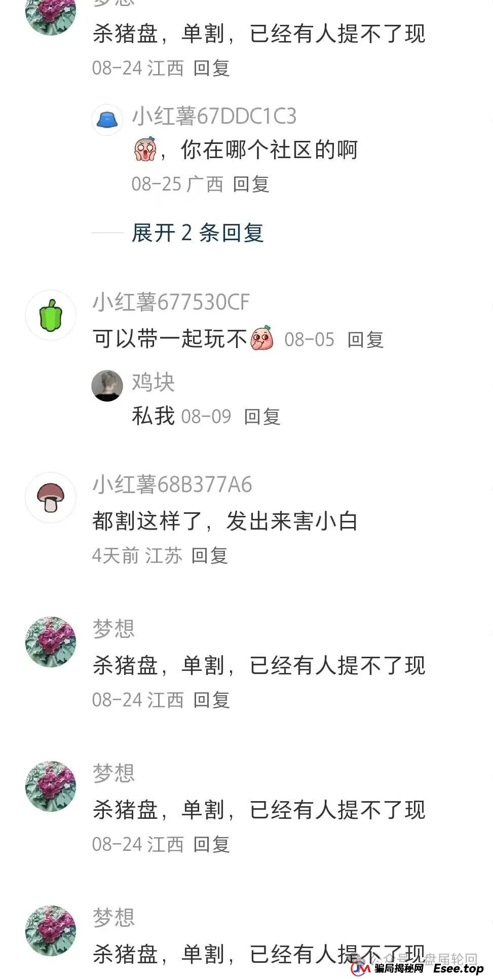 睿盛环球Golden Link已经开始单割,前身是博瑞通,即将全线崩盘跑路!(4) 睿盛环球Golden Link已经开始单割,前身是博瑞通,即将全线崩盘跑路!(4)