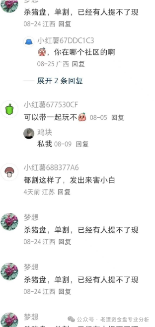 关于“睿盛环球"项目的情况我必须提醒大家警惕这个高风险资金盘。该项目前身曾用名"博瑞通""晟盛环球"频繁更名是典型资金盘特征。(4) 关于“睿盛环球"项目的情况我必须提醒大家警惕这个高风险资金盘。该项目前身曾用名"博瑞通""晟盛环球"频繁更名是典型资金盘特征。(4)