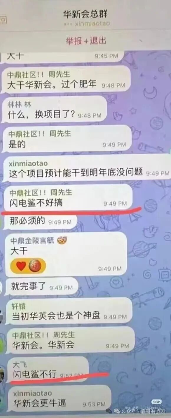 闪电鲨AI是资金盘骗局,VAX翻版,即将崩盘(4) 闪电鲨AI是资金盘骗局,VAX翻版,即将崩盘(4)