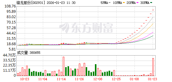 锋龙股份17连板：逼近800倍估值狂欢 谁在豪赌“机器人借壳”？