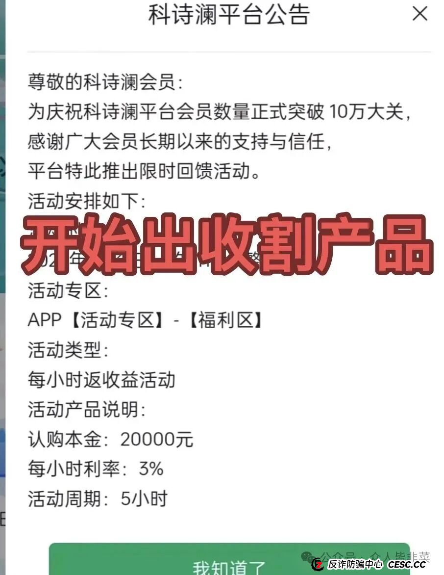 起底“科诗澜”的品牌包装术：一个“三无产品”的“国际大牌”诞生记(1)