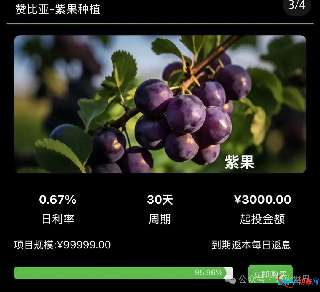 “华洋绿投”海外种果树资金盘骗局,专坑想赚快钱的普通人,随时崩盘跑路!(2) “华洋绿投”海外种果树资金盘骗局,专坑想赚快钱的普通人,随时崩盘跑路!(2)